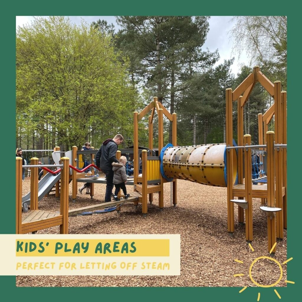 Kids' play areas (perfect for letting off steam)
