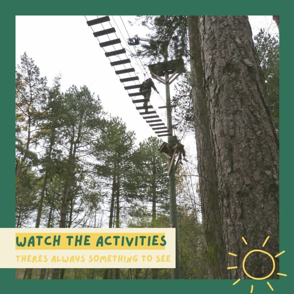 Watch the Center Parcs activities (there's always something to see)